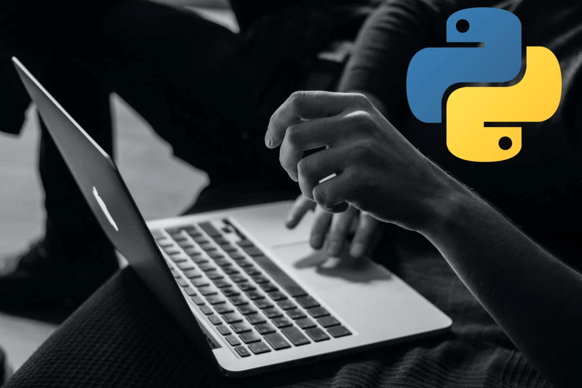 python web development