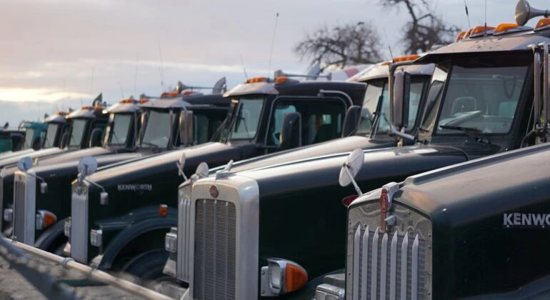 cargo trucks side by side